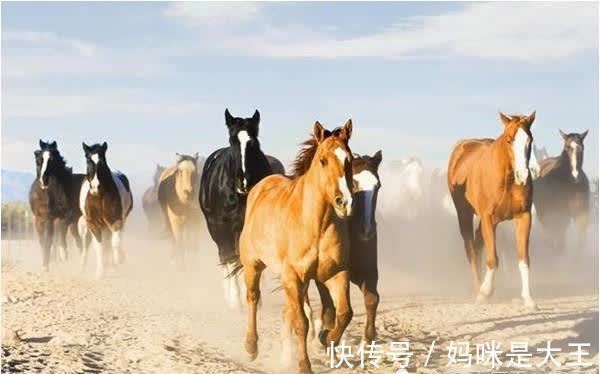 财气|“大金马”未来十年财气大爆发,尤其是66、78年的,45岁后靠谁?