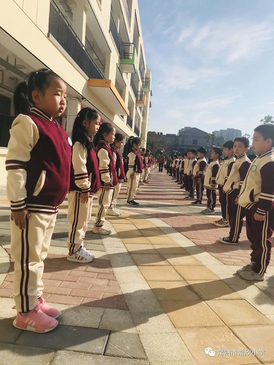 校园|【校园动态】健康运动 快乐成长——常欣小学第一届校园体育节举行