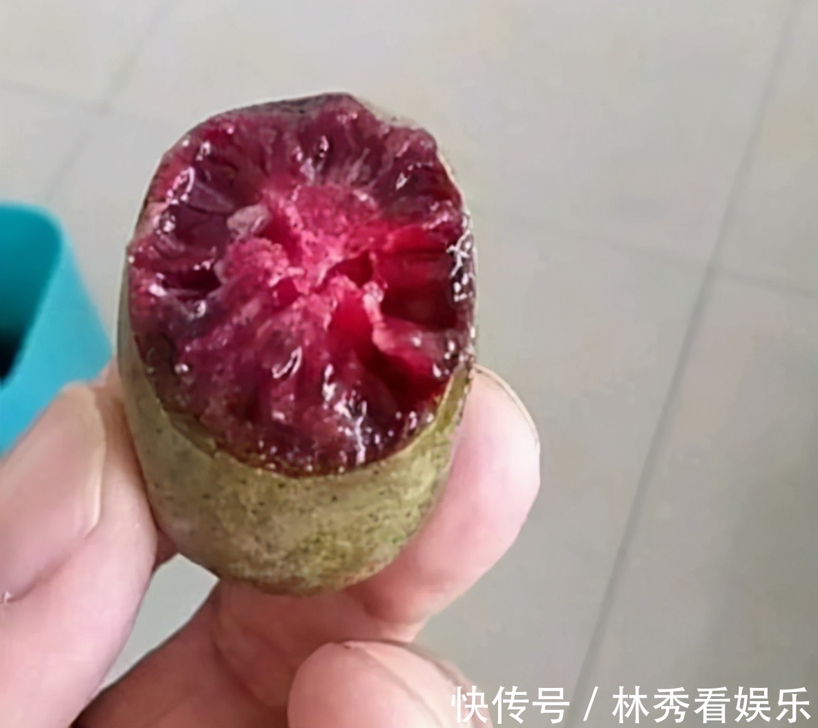 走红|院子里别养无花果树了，一果树新品种走红，栽越多越好