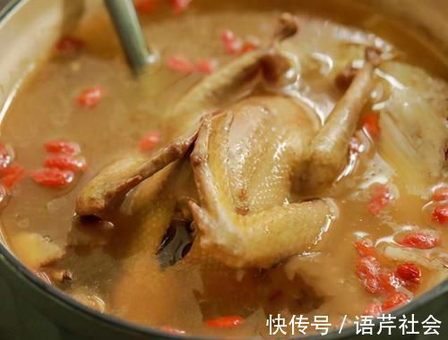 一鸽胜九鸡,炖鸽子汤焯水?教你正确做法,鸽子汤鲜肉嫩营养高