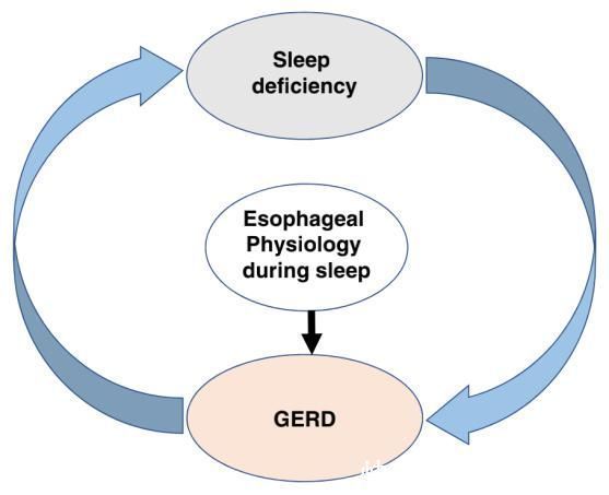 gerd|失眠、胸痛、胸闷,是纯属巧合还是另有玄机?