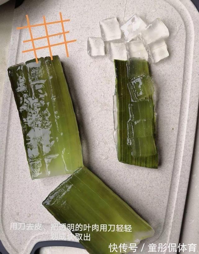 薄荷|养花要学老中医,选5种花养家里能“养人”,都有多种功效