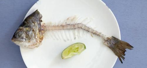 鱼头|注意鱼身上一个部位有毒,千万别吃爱吃鱼的小伙伴赶紧看看吧