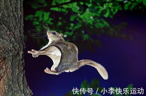 北山经@《山海经》记载内容,是异世界的秘密?专家称:极有可能真的存在