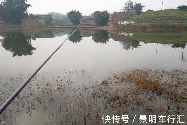 秋末冬初进入“长竿季”,野钓大鲫鱼,没有比这更简单的钓法