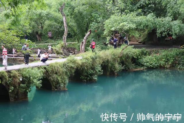 秋韵#【七绝·秋韵】清风伴我不孤行,晨起轩窗有鸟鸣