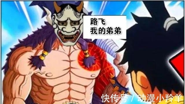 路飞|海贼王:尾田“无间道”再现,路飞又一个哥哥出现,凯多是卧底