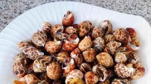 食客|这东西在美国卖出了高价,中国却要花重金清理,食客:长错了地方