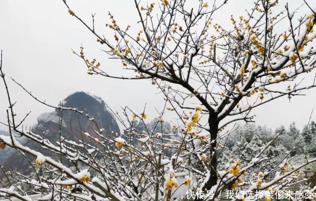 美丽“冻”人，快来“云”赏雪！看绝美铜钹山！