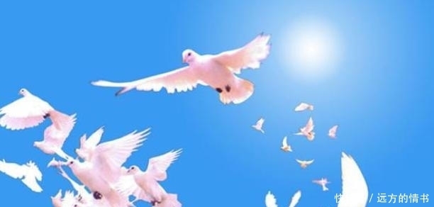 苏联飞行员失踪77年,如今终于找到!他这些年过的好么