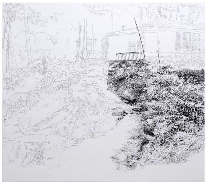 卡纸!徐亚华:被视为画坛“怪咖”,不办展、不卖画,潜心作画40多年