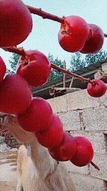 |搞笑GIF:都建功立业了,还是改不掉看见妹子就想抱的冲动