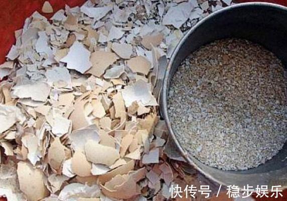 打算给花草换盆，却苦于没钱买营养土不怕，用这些废料就够了