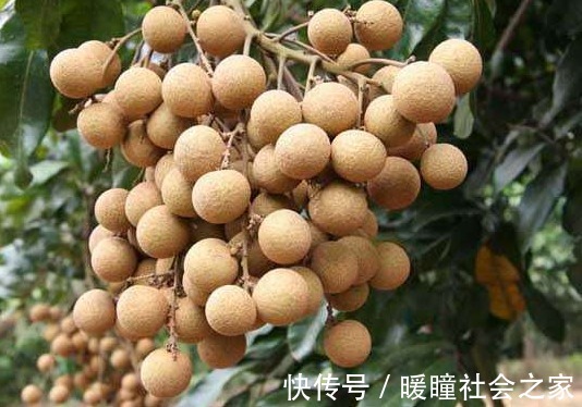 血压|一男子突发高血压，医生：坚持4个方法，血压稳定或不是空话