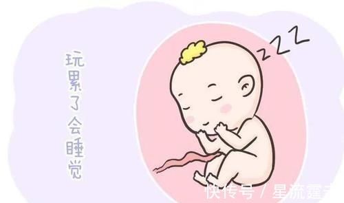 胎儿|胎儿每天在妈妈肚子里忙什么?除了吃和睡,他们有好多事情要忙!