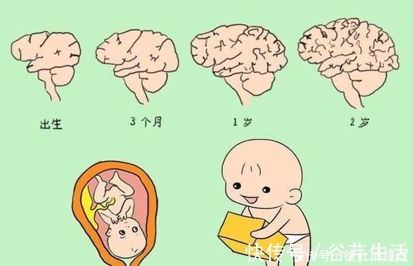 宝宝|这三个阶段是宝宝智力发育的黄金期，想要宝宝更聪明，妈妈要抓紧！