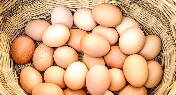 磷脂|鸡蛋是好吃,但吃鸡蛋有1大禁忌,你是不是傻傻的不知道!