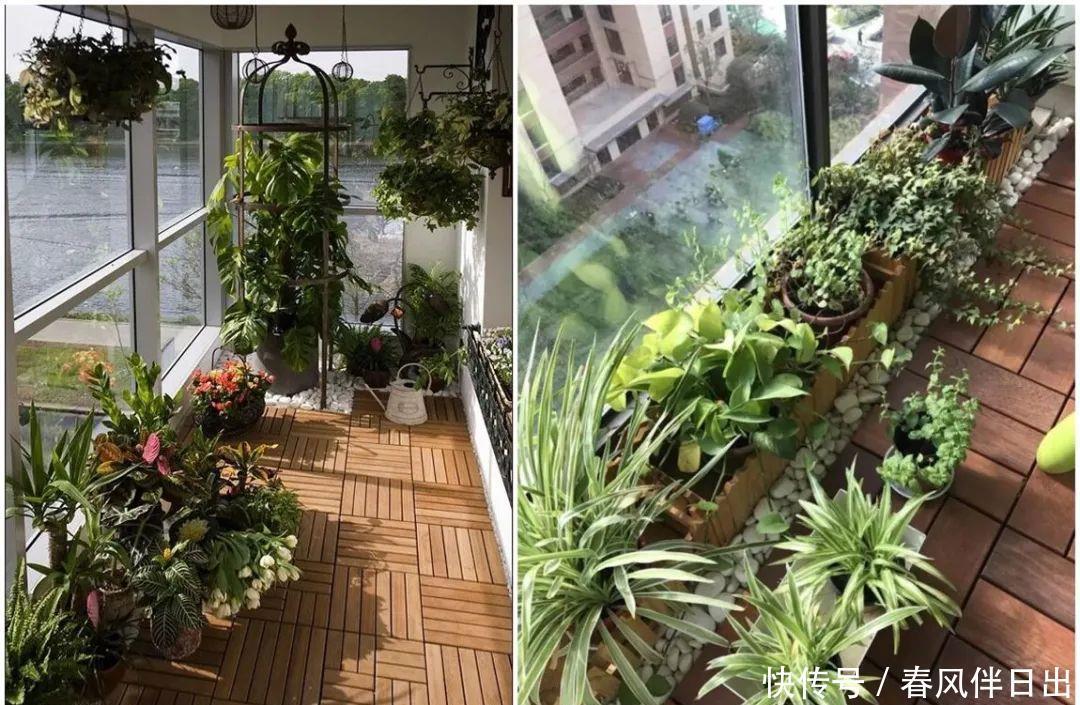 过上悠哉的小日子,不一定非要院子,有个阳台,一样可以养花种菜