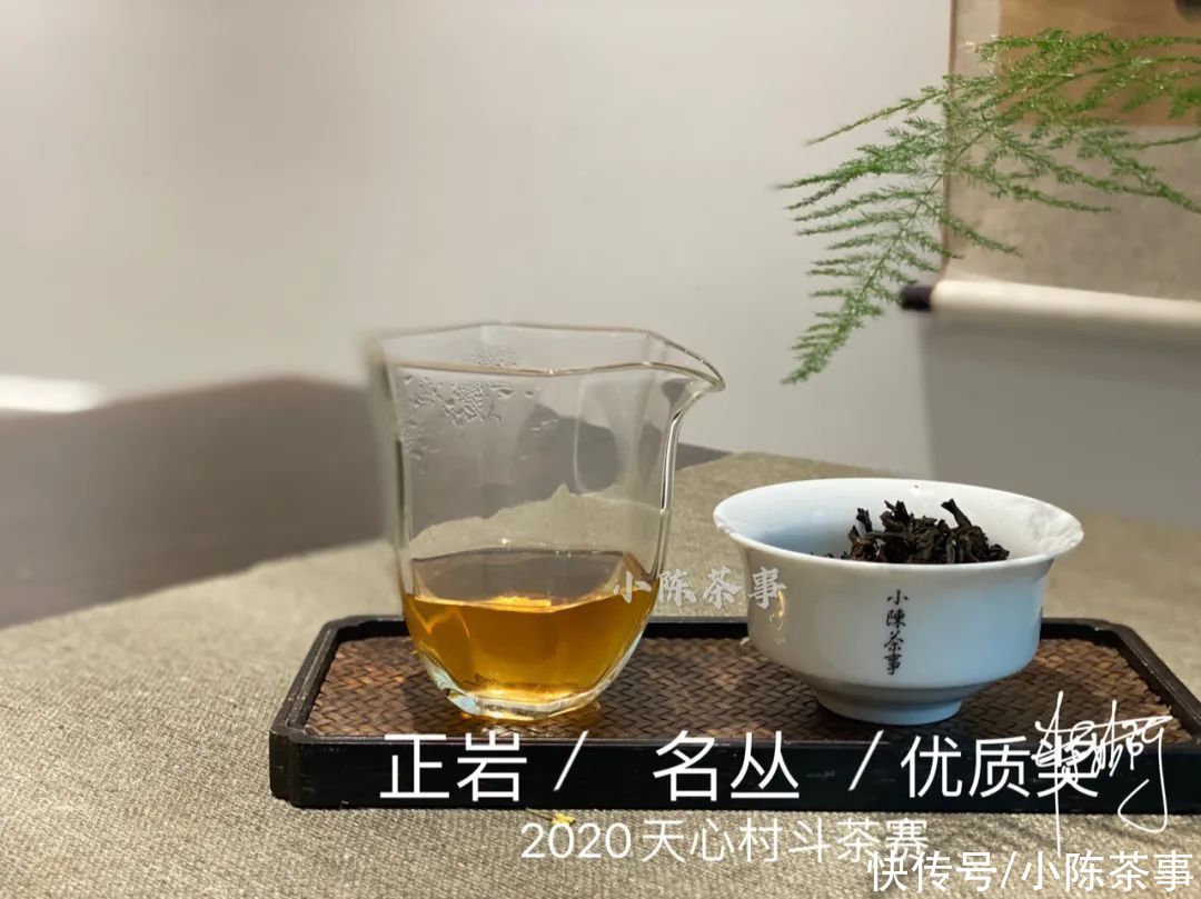  岩茶|一口气喝到正岩茶村的名丛金、银、优质获奖茶，是什么样的体验？