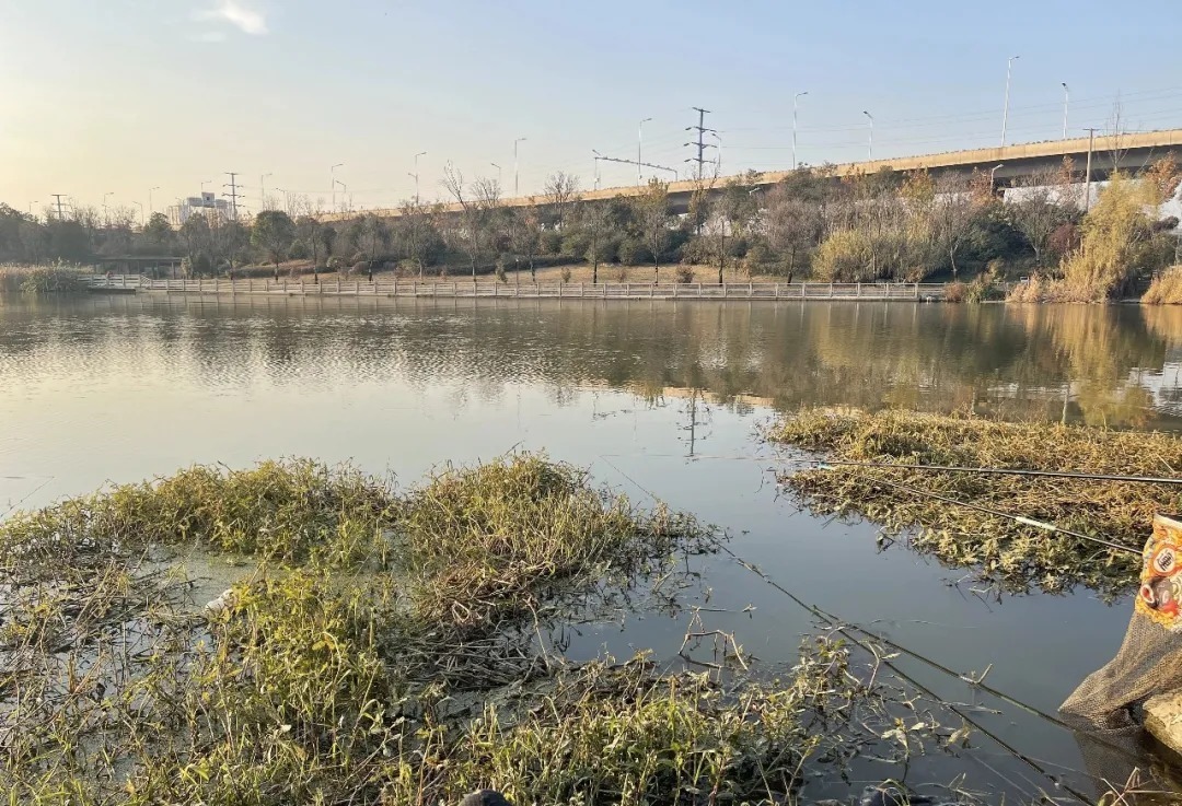 冬季人舒服鱼却难钓，用红虫都没口？不是饵的事，是你钓法有问题