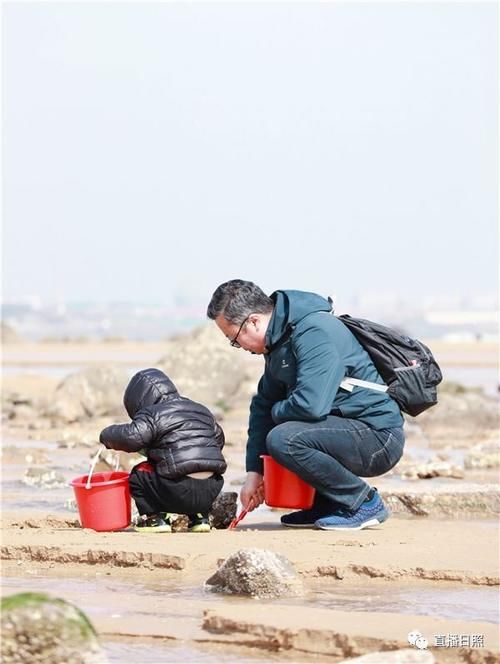 一抓一兜！日照赶海大军再出动！快看看都收获了啥？