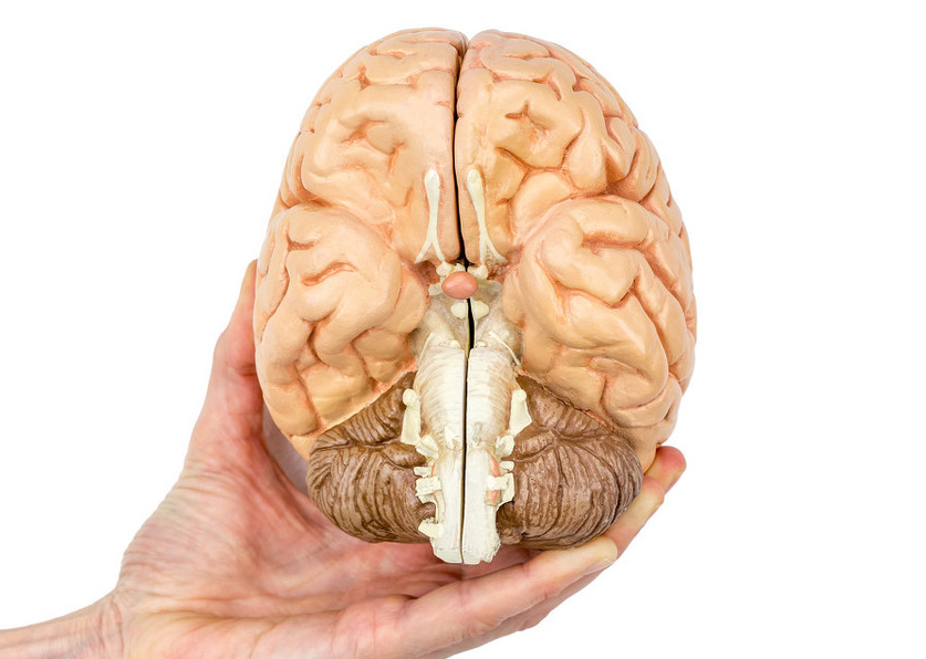 根治性|明明是肺癌早期做了根治性手术，不久就复发转移了，到底什么原因