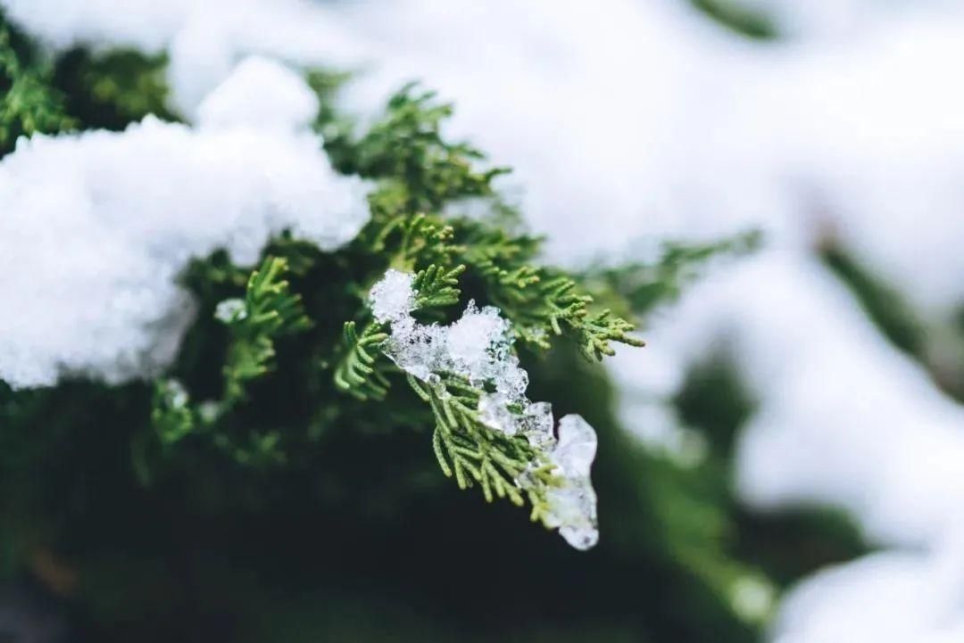  中年|节气养生 ▏今日小寒，最冷的时候到了！学点规矩保健康，别让养生变伤身~