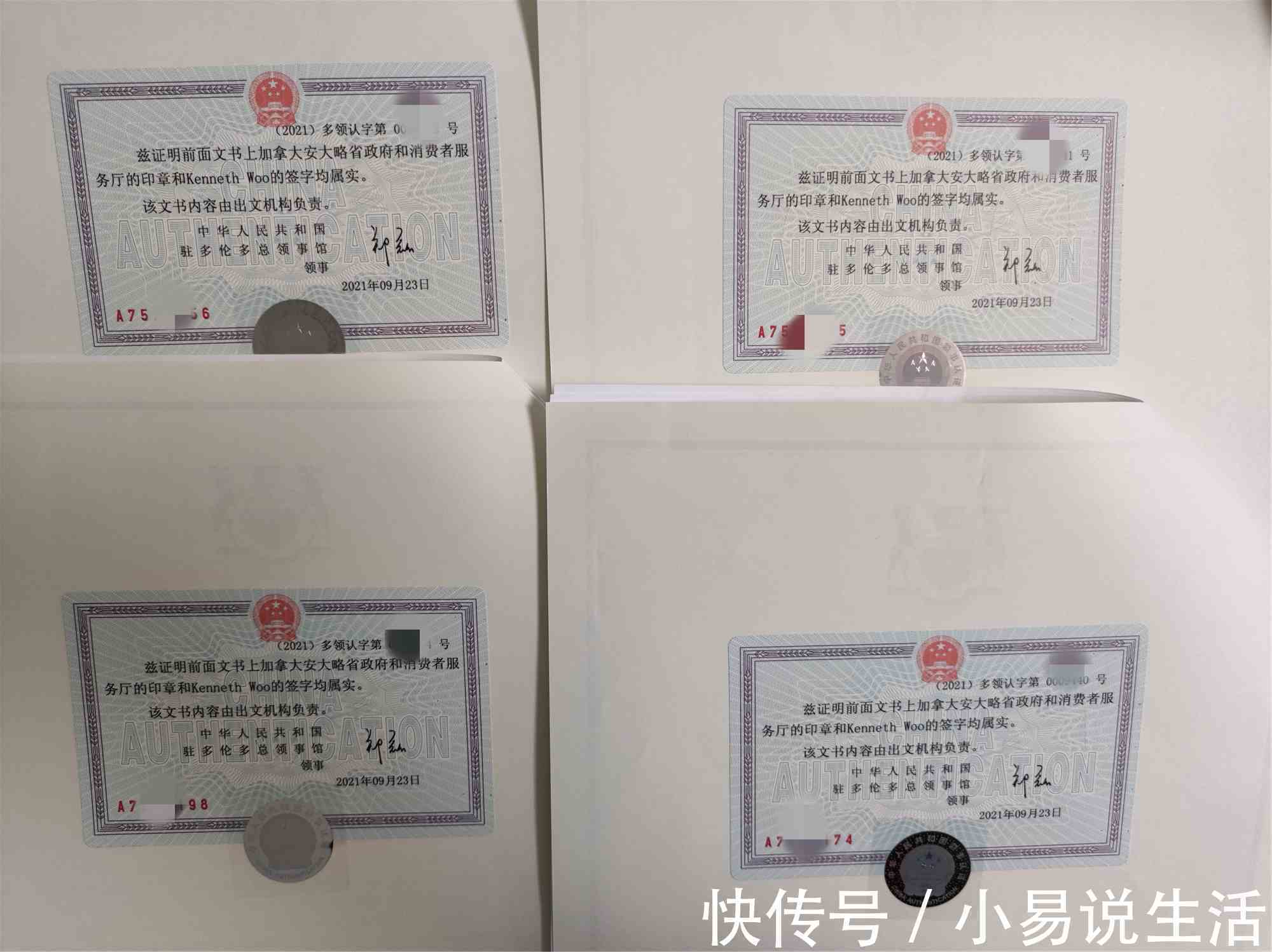 专家|关于韩国公司公证认证，认证专家这样说