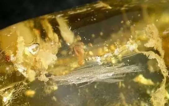 印尼柯巴脂|柯巴脂,和琥珀蜜蜡到底有多像?