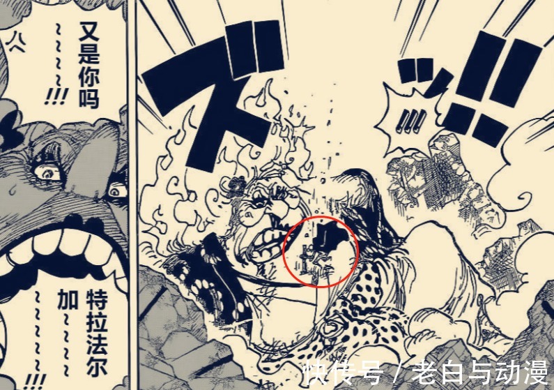 基德|海贼王1039话:罗和基德使用最终绝招,大妈被打剩残血