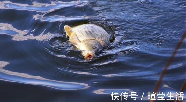 调平水钓两目,和调四钓二个人经验总结,值得收藏!