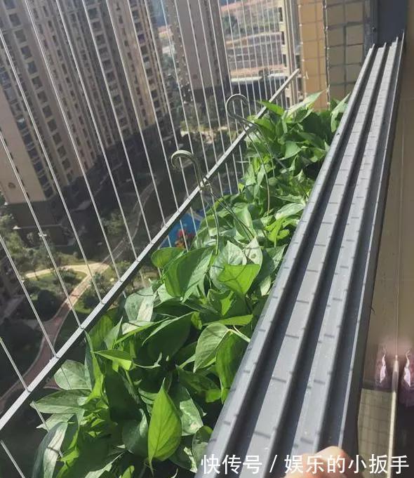 装修|晒晒朋友新房,装修太漂亮都挑不出毛病,看到阳台瞬间转粉了!