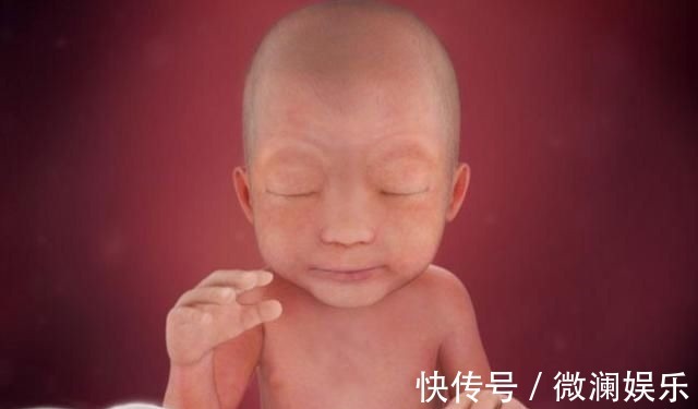 孕妈|组图了解胎儿在子宫中的生长过程,生命太奇妙了!准爸妈们看看