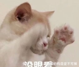 简单|都2020年了,最常用的密码竟然还是它