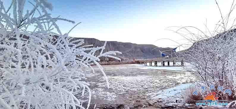 时节|肃南：大雪时节现雾凇冰花美景