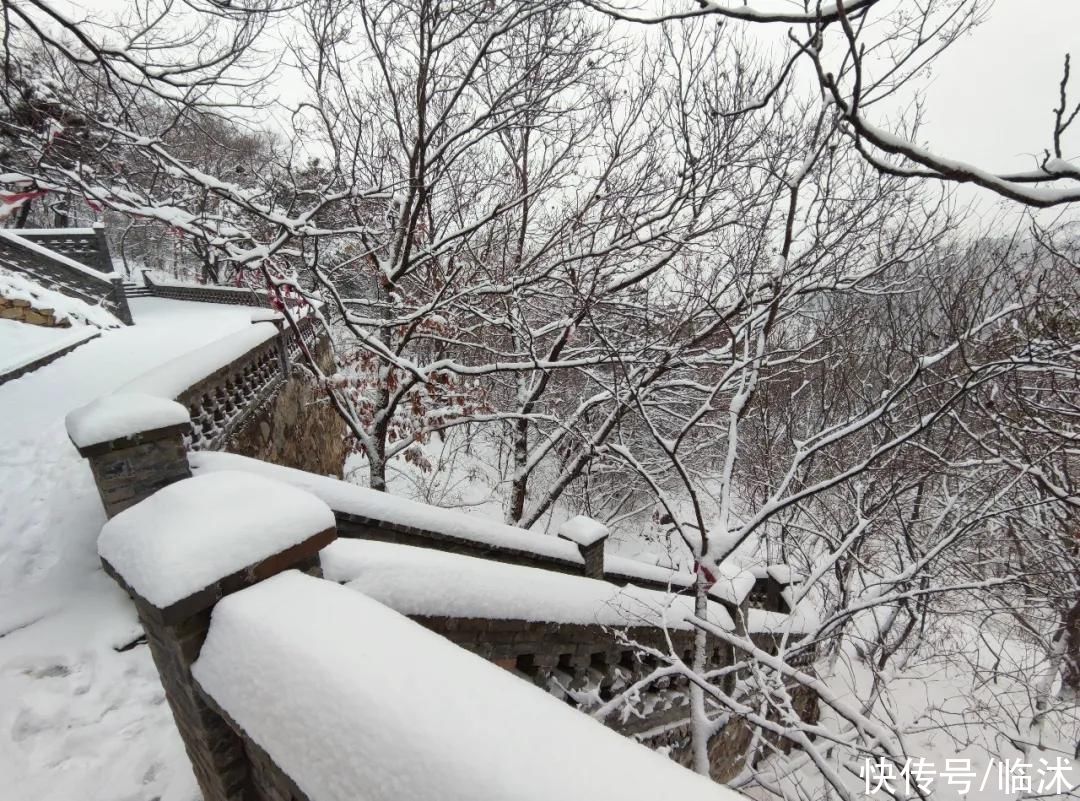 心动的感jio !！临沭绝美雪景大片，如诗如画