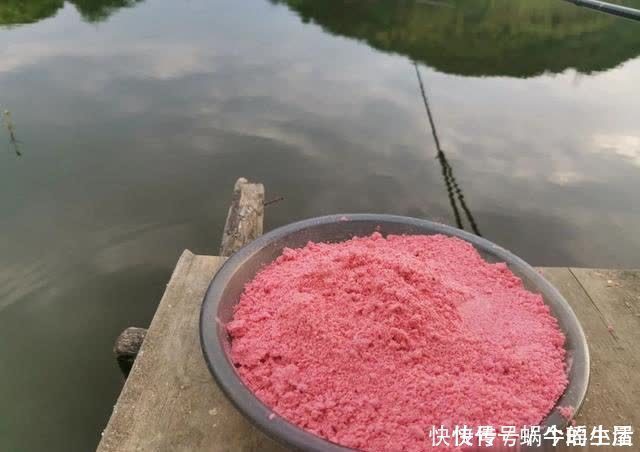 鱼竿|别拿野钓装备去玩黑坑,新手入坑须知:先得把这些渔具买齐了