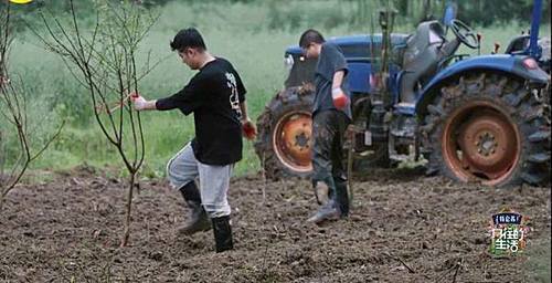 彭昱畅 《向往的生活》:干最轻的活,拿最高的片酬,竟然还有人喊累?