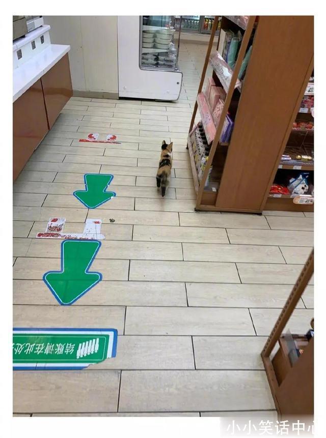 |今日笑话:关于前任,男生和女生不同看法