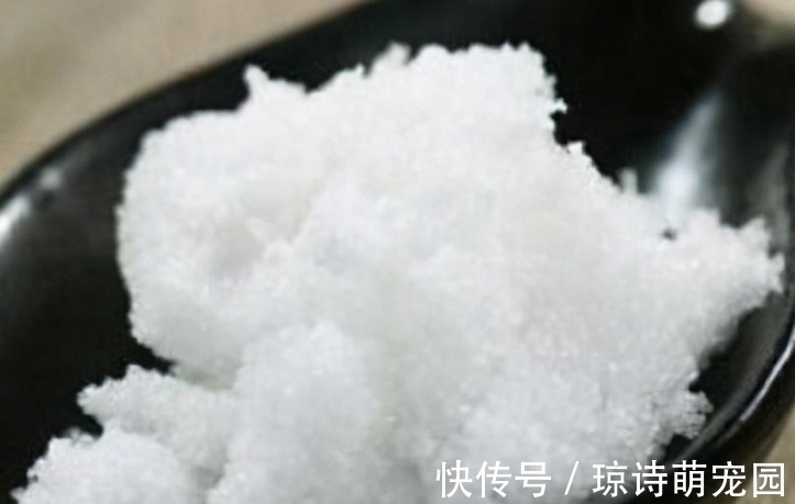 别花钱买生根水给植物泡了,拿这些代替,既有趣又实用