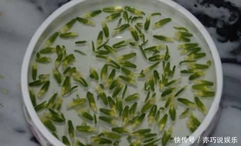 肺上火,咳嗽;肝上火,失眠;胃上火,口臭,