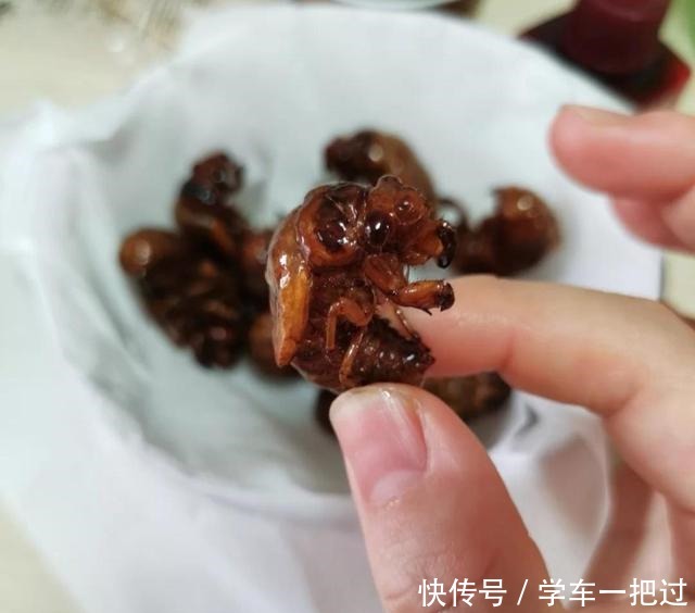 室友带来的这些“美味特产”,实在是无福消受,尝一下差点绝交!