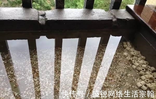 防水|老公在阳台做了个鱼池, 发到业主群里, 楼下直接找上门了!