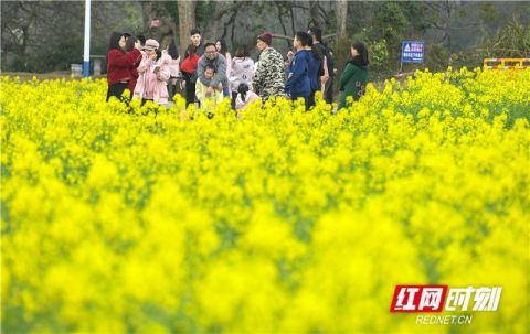 道县郊游 乐享假日