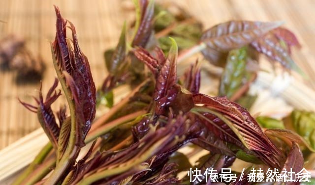 草酸|这6种菜买回家，记得要焯水后再吃，家人吃得更健康，不要怕麻烦