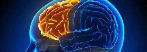 全身|下蹲五分钟,等于步行一小时还能长寿医生教你几种蹲法锻炼全身