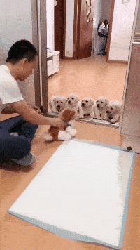 |搞笑GIF段子:大白菜吃多了,想尝尝山珍海味