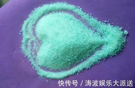 栀子花|栀子花这样养，“爆发力”大，枝上满侧芽，侧芽全开花！