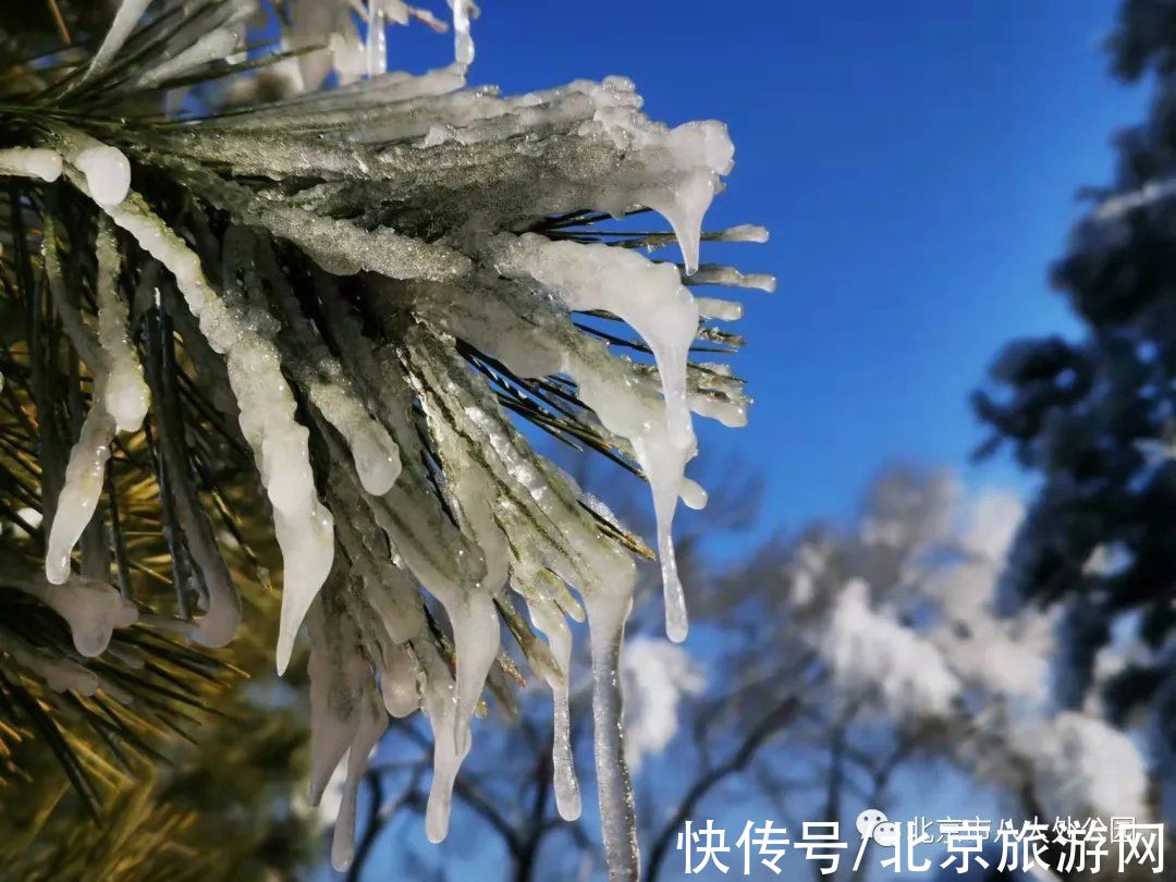 北京冬奥会|美翻了，北京这个地方开始造雪景啦
