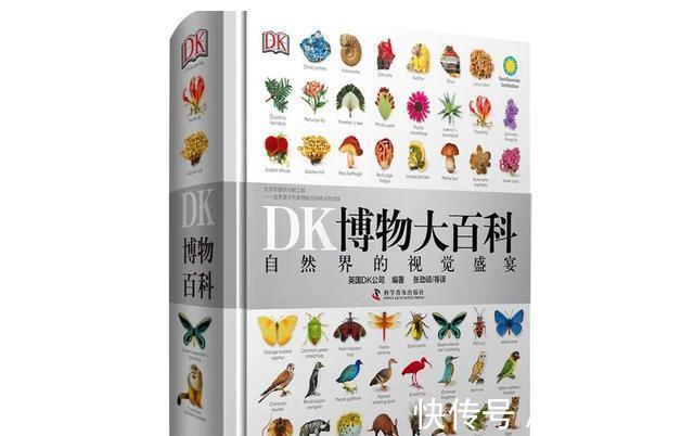 恐龙世界@DK图书大盘点第一季:少儿百科类